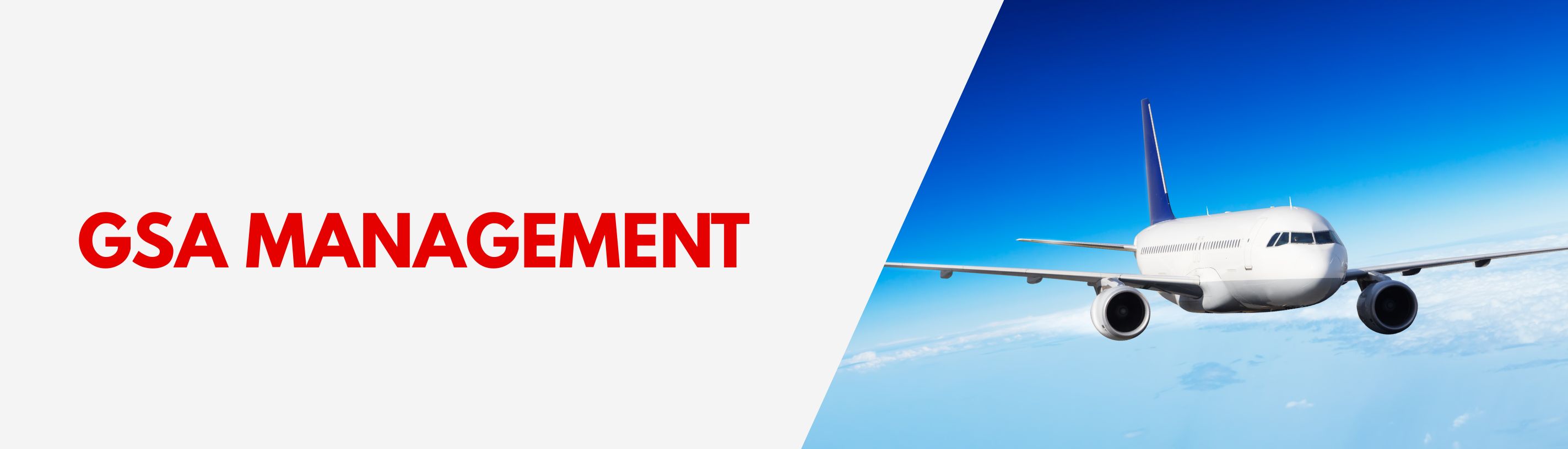 Logistic and cargo for business